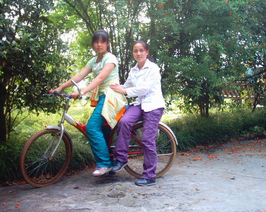 2006  (71)
